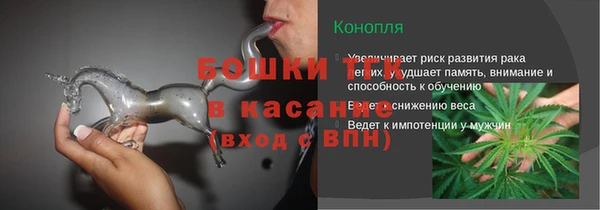 ГАЛЛЮЦИНОГЕННЫЕ ГРИБЫ Медногорск