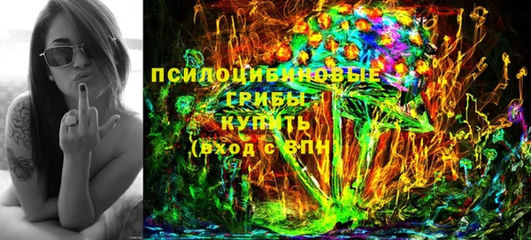 PSILOCYBIN Мегион