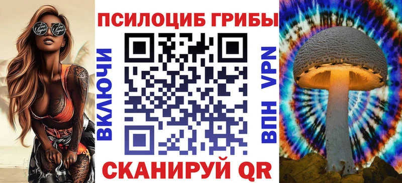 Псилоцибиновые грибы прущие грибы  Купить где  Мценск 